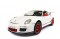 Porsche 911 GTS RS RASTAR 1:14 RTR